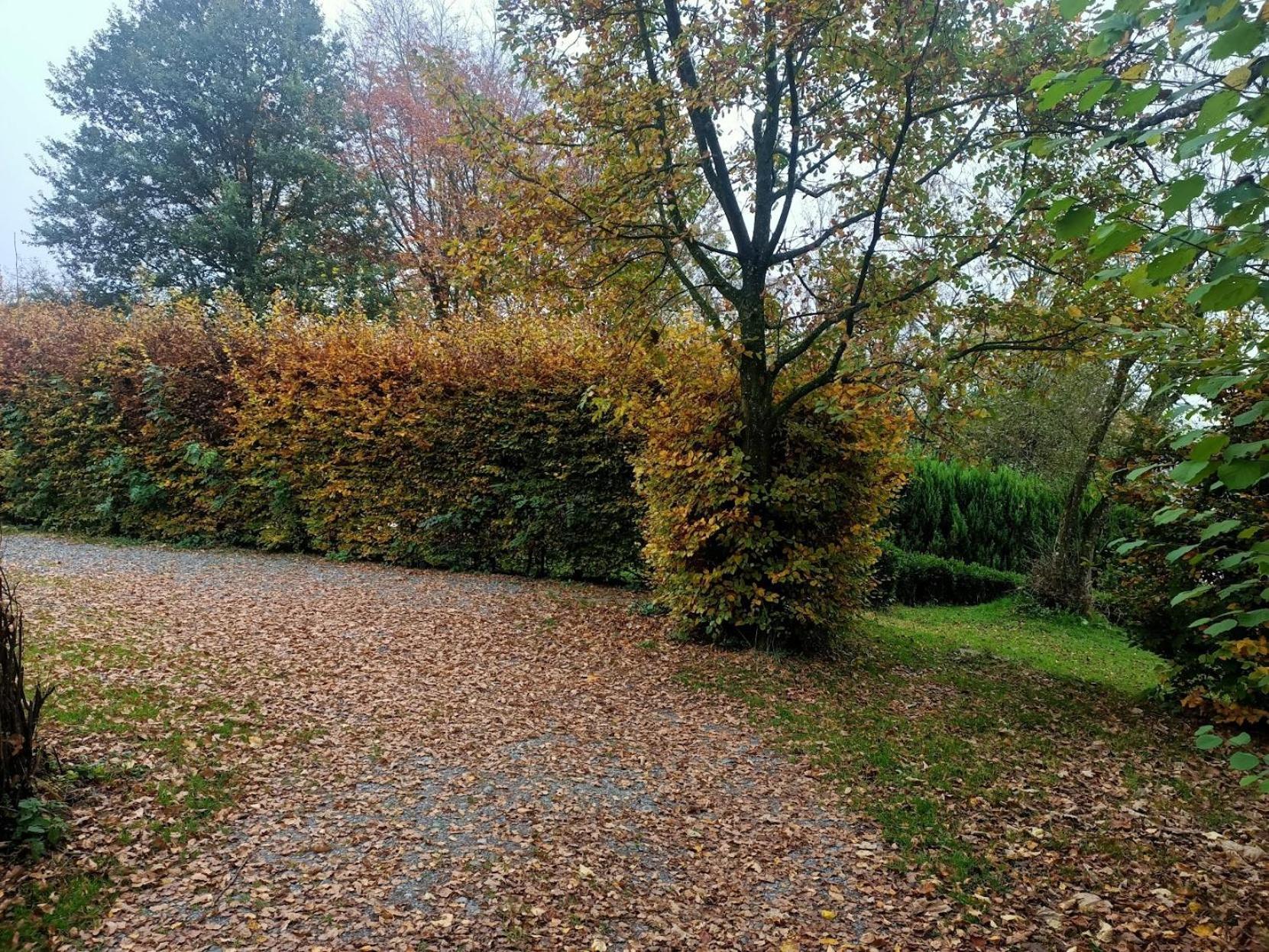 Dri Les Courtils Villa Ла Рош ан Арден Екстериор снимка
